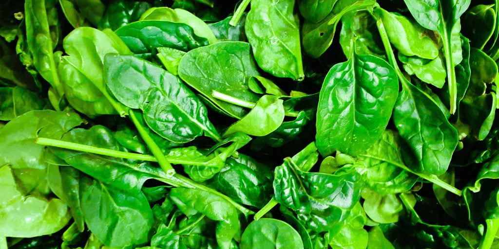 Spinach Recipes from the Bariatric Surgery Team